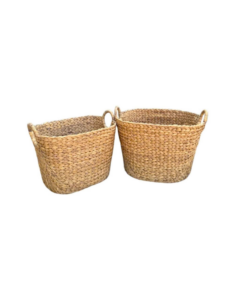 Hành trình đưa loài cây cỏ dại lục bình miền sông nước vươn ra thị trường thế giới