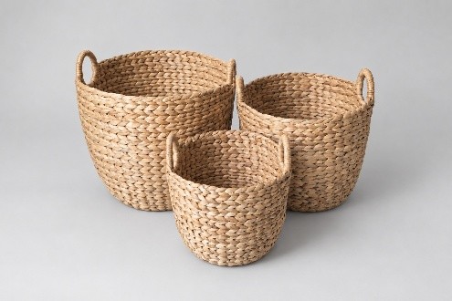 Lưu trữ & tổ chức